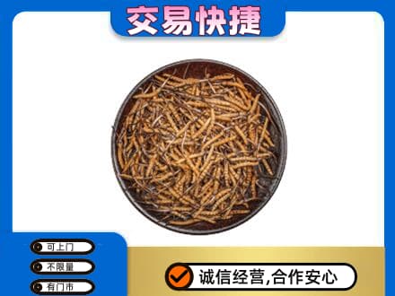 海东化隆县礼品回收虫草.jpg